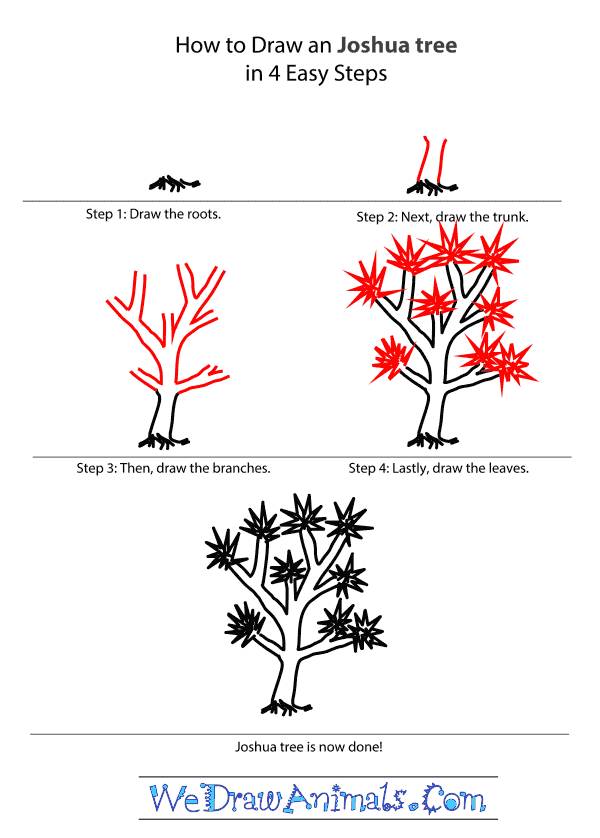 How to Draw a Joshua Tree - Step-by-Step Tutorial