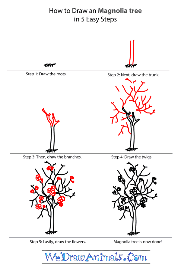 How to Draw a Magnolia Tree - Step-by-Step Tutorial