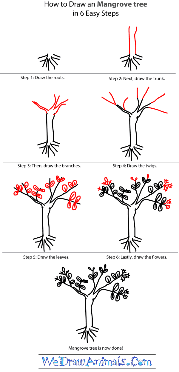 How to Draw a Mangrove Tree - Step-by-Step Tutorial