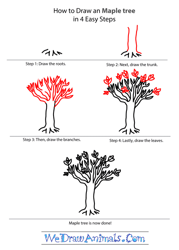 How to Draw a Maple Tree - Step-by-Step Tutorial