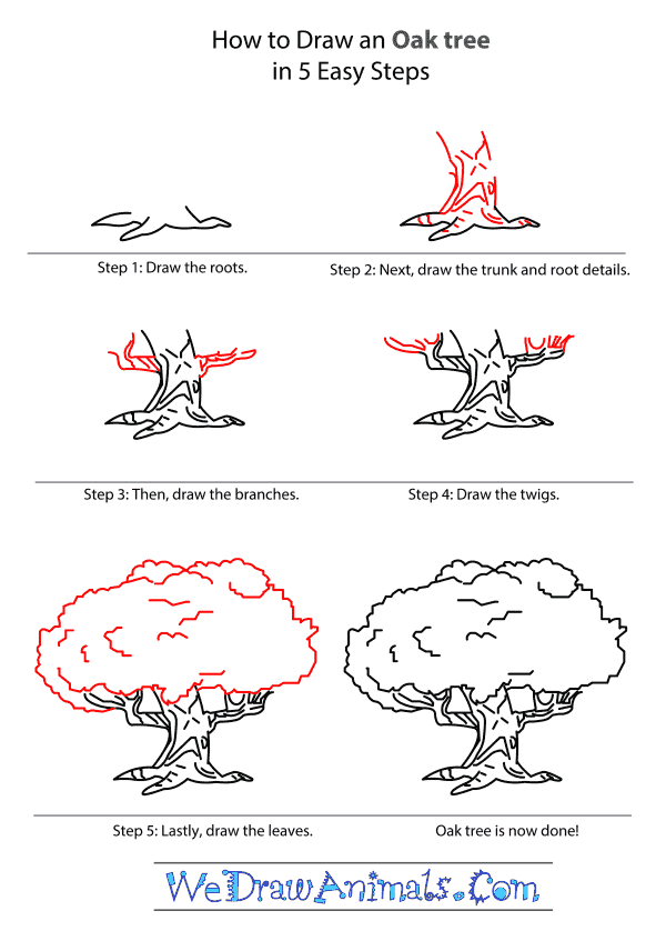 How to Draw an Oak Tree - Step-by-Step Tutorial