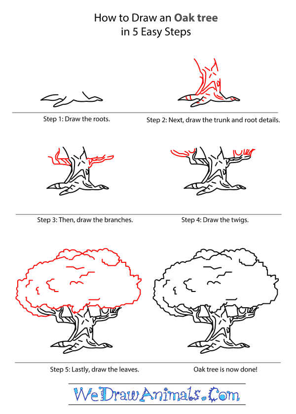 Featured image of post Oak Tree Drawing For Kids : Choose from over a million free vectors, clipart graphics, vector art images, design templates, and illustrations created by artists worldwide!