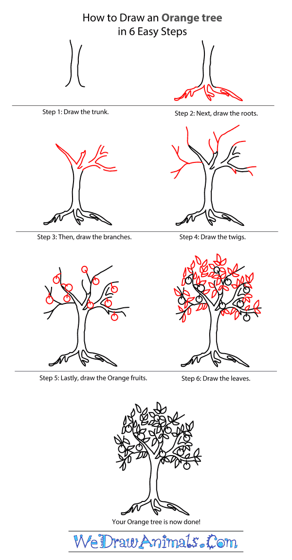 How to Draw an Orange Tree - Step-by-Step Tutorial