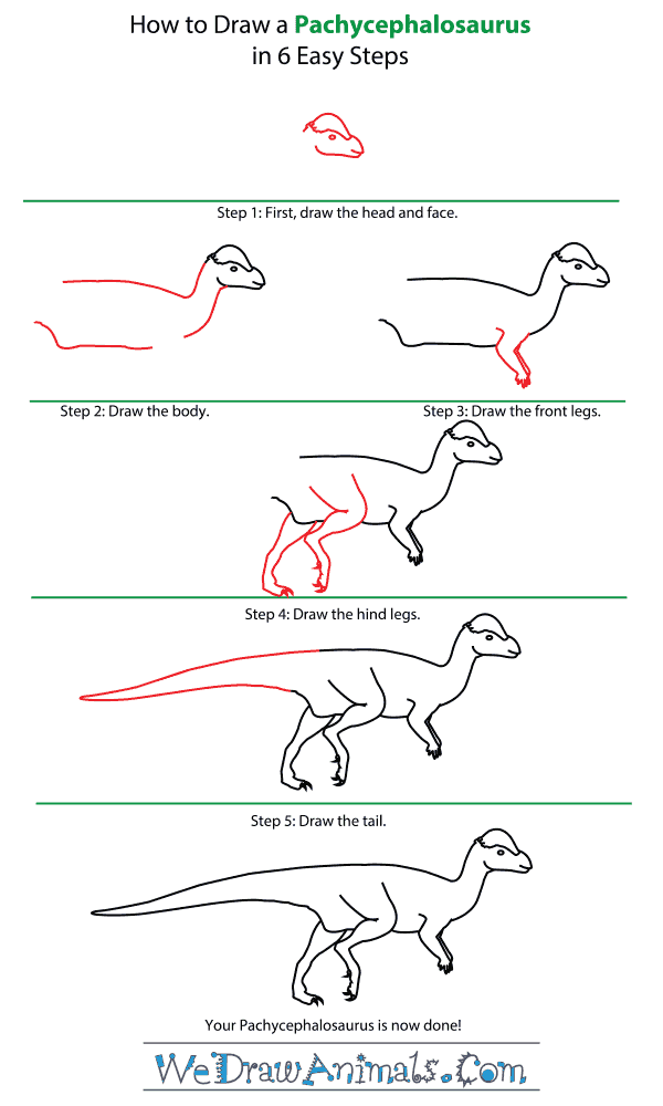 How to Draw a Pachycephalosaurus - Step-by-Step Tutorial