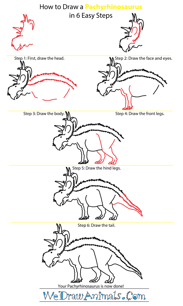 How to Draw a Pachyrhinosaurus - Step-by-Step Tutorial