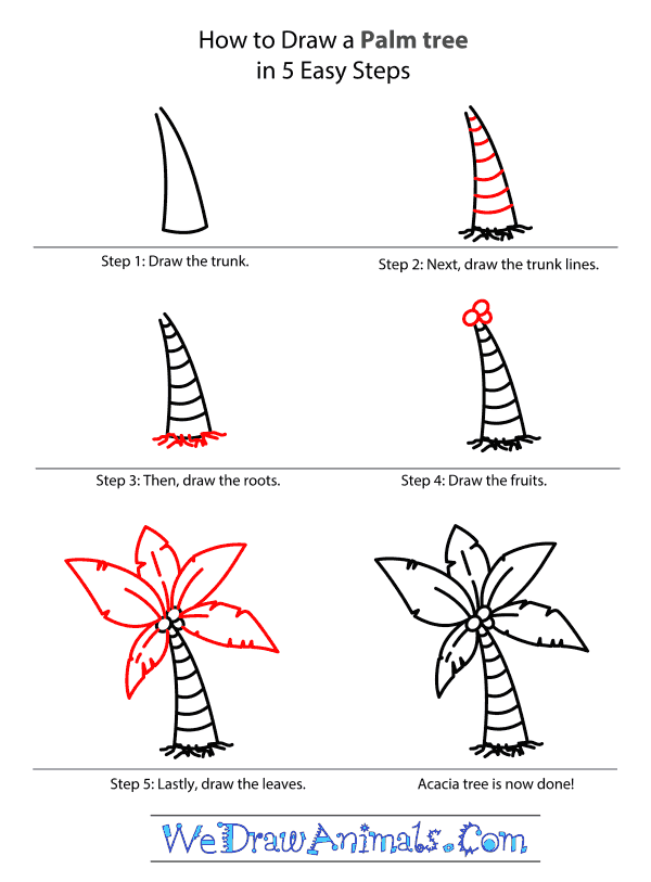 How to Draw a Palm Tree - Step-by-Step Tutorial