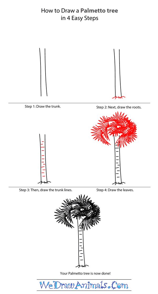 How to Draw a Palmetto Tree - Step-by-Step Tutorial