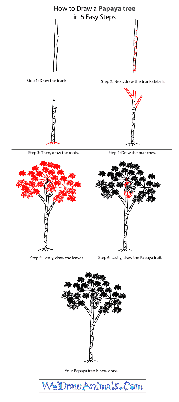 How to Draw a Papaya Tree - Step-by-Step Tutorial