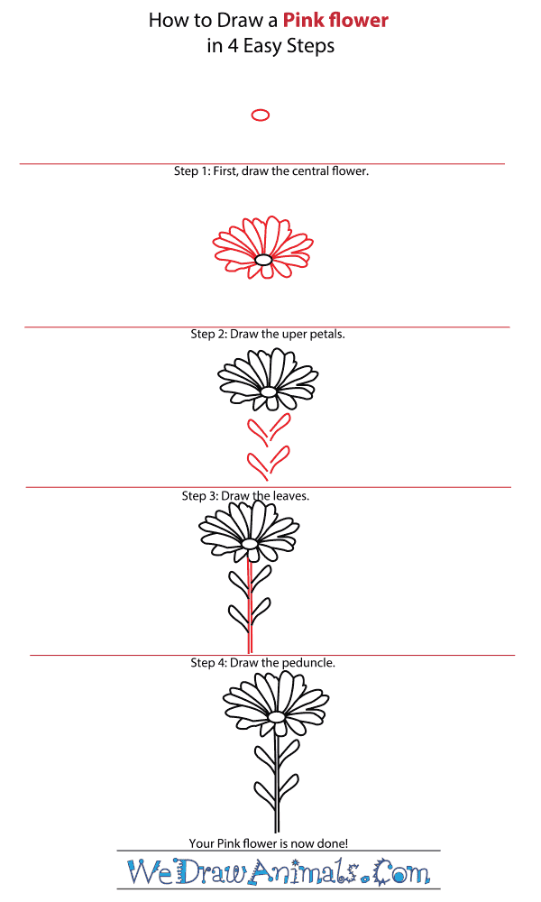 How to Draw a Pink Flower - Step-by-Step Tutorial