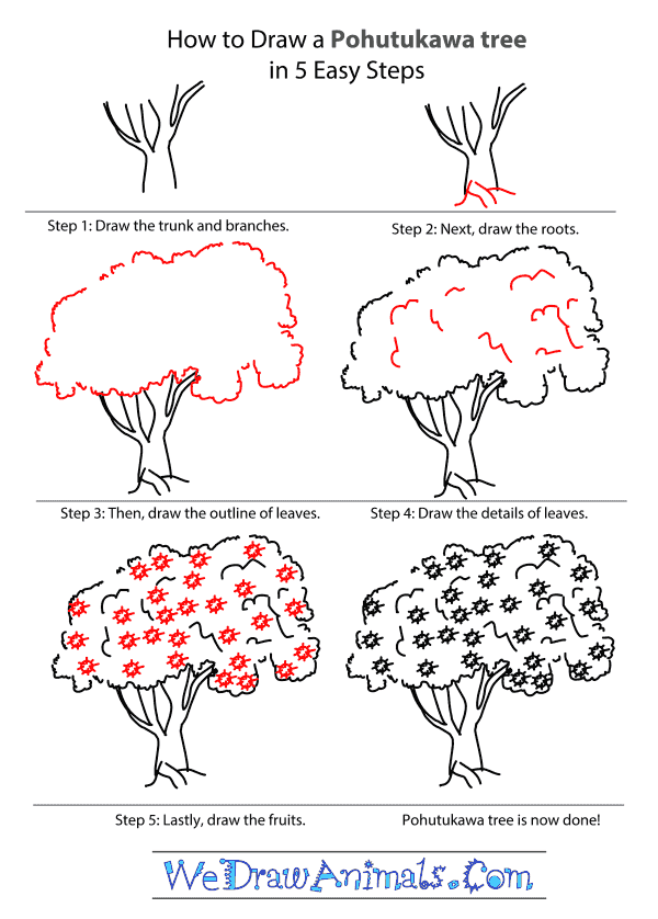 How to Draw a Pohutukawa Tree - Step-by-Step Tutorial