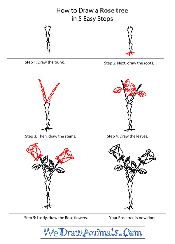 How to Draw a Rose Tree - Step-by-Step Tutorial