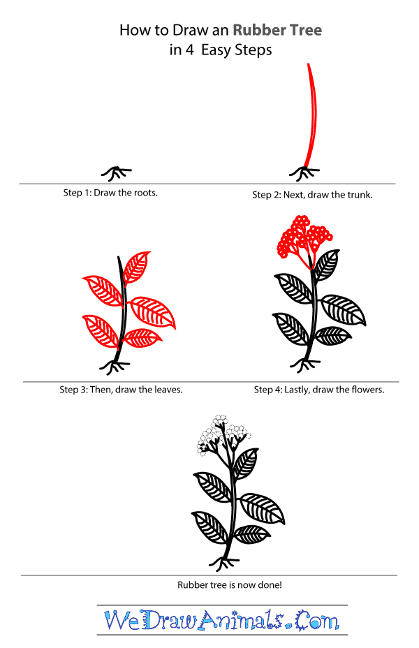 How to Draw a Rubber Tree - Step-by-Step Tutorial