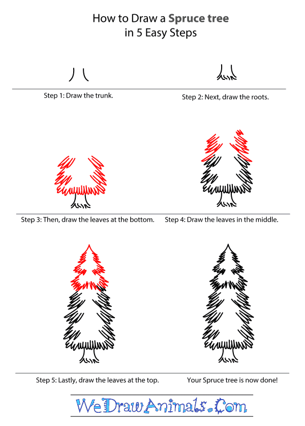 How to Draw a Spruce Tree - Step-by-Step Tutorial