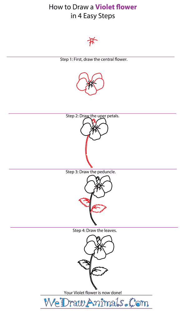 How to Draw a Violet Flower - Step-by-Step Tutorial