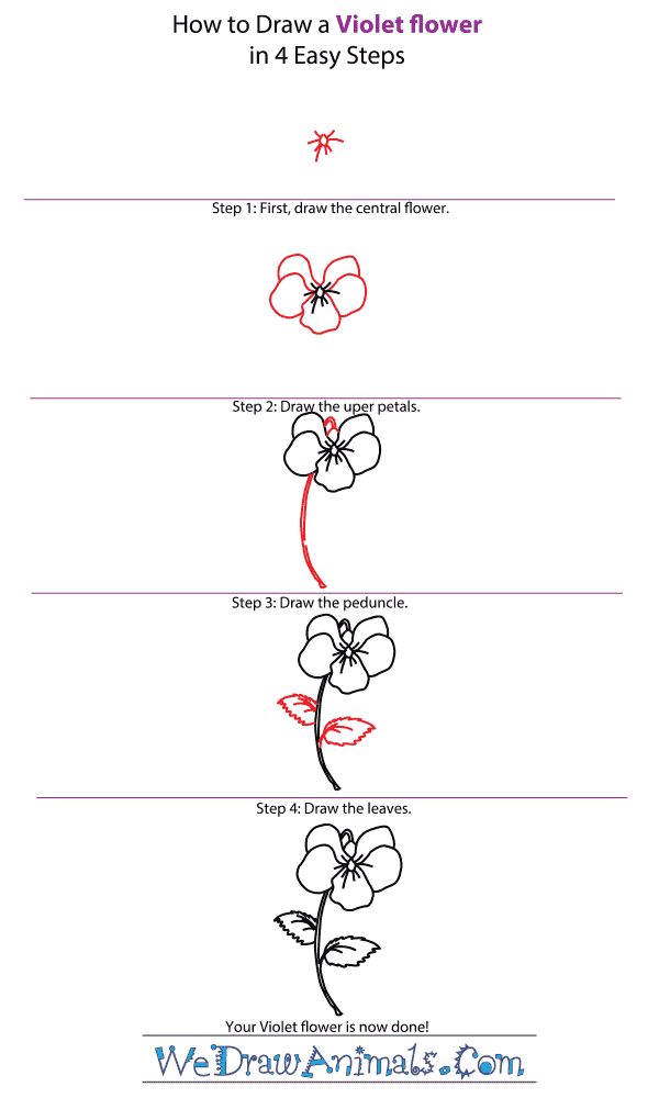 How To Draw Violets