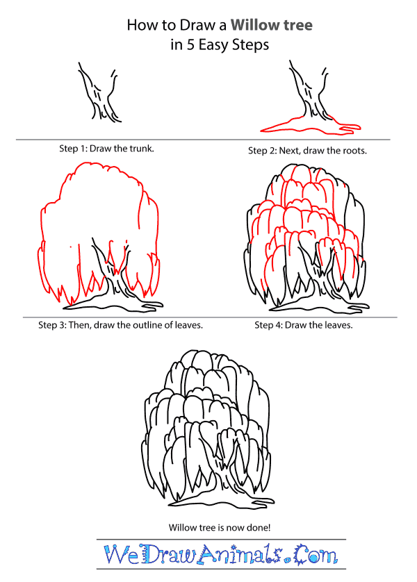 How to Draw a Willow Tree - Step-by-Step Tutorial