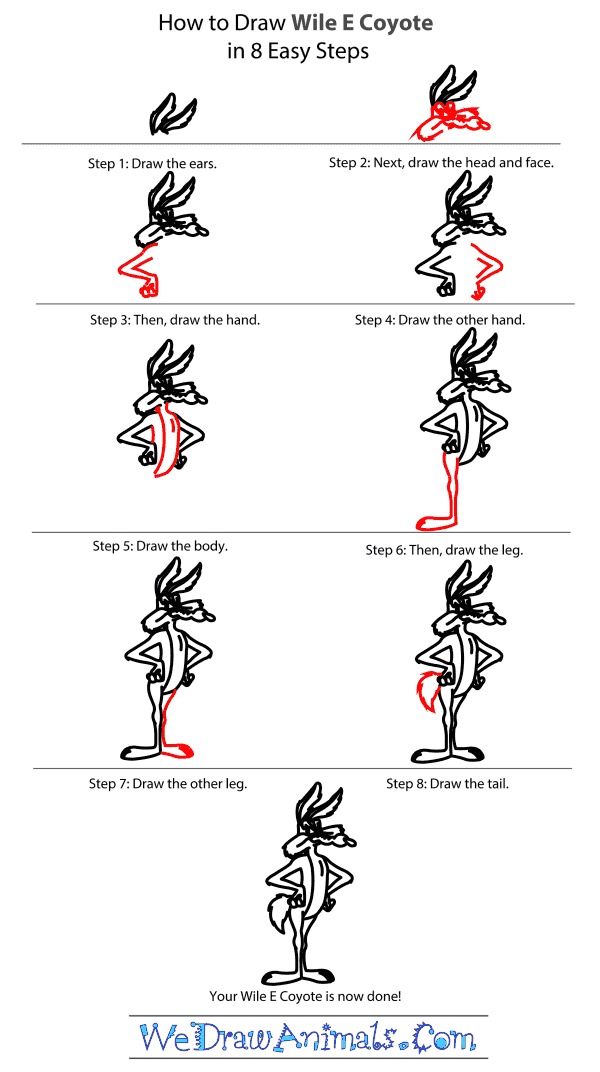 How to Draw Wile E. Coyote From Looney Tunes - Step-by-Step Tutorial