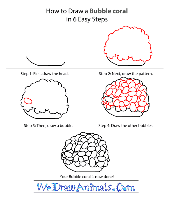 How to Draw a Bubble Coral - Step-by-Step Tutorial