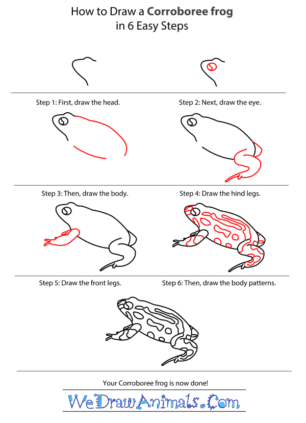 How to Draw a Corroboree Frog - Step-by-Step Tutorial