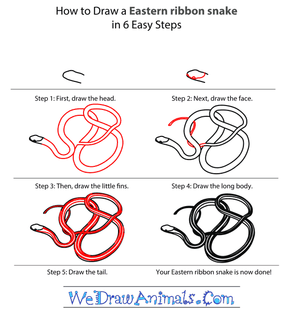 How to Draw an Eastern Ribbon Snake - Step-by-Step Tutorial