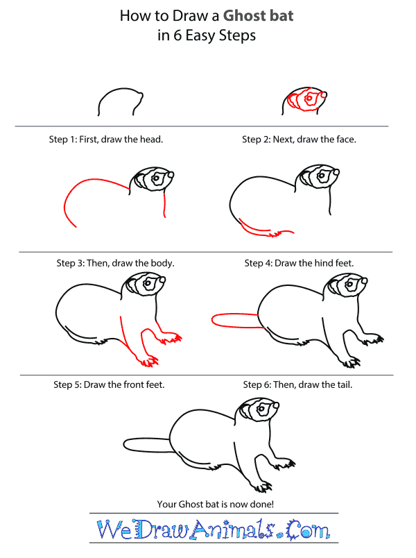 How to Draw an European Polecat - Step-by-Step Tutorial