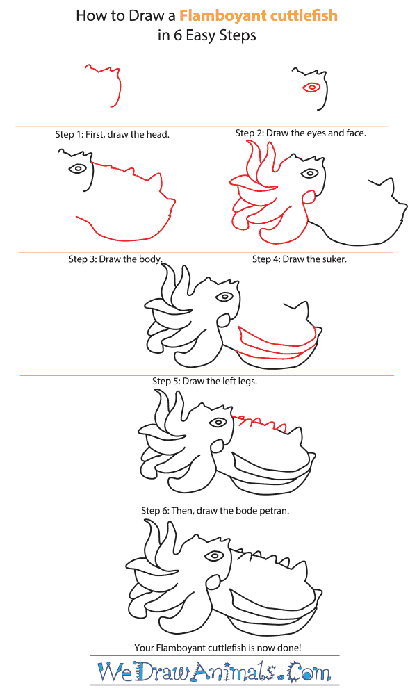 How to Draw a Flamboyant Cuttlefish - Step-by-Step Tutorial