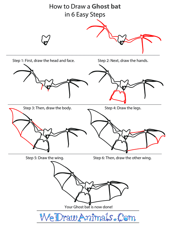 How to Draw a Ghost Bat - Step-by-Step Tutorial