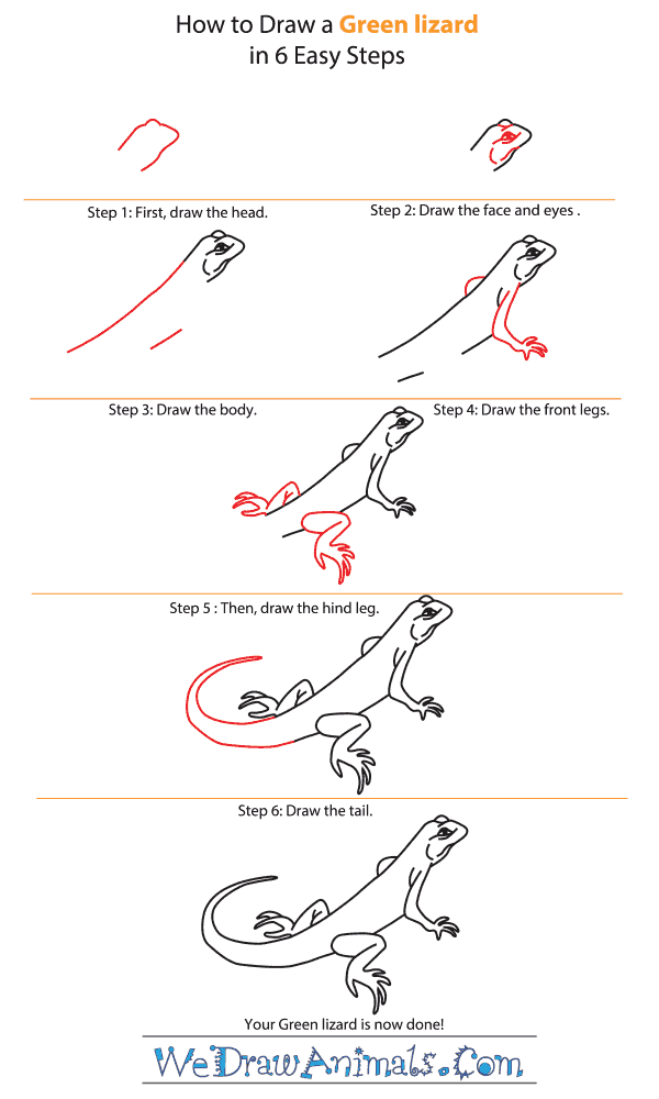 How to Draw a Green Lizard - Step-by-Step Tutorial