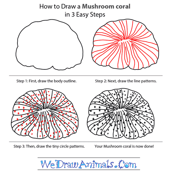 How to Draw a Mushroom Coral - Step-by-Step Tutorial