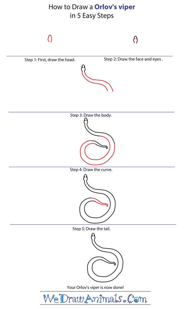 How to Draw an Orlov's Viper - Step-by-Step Tutorial