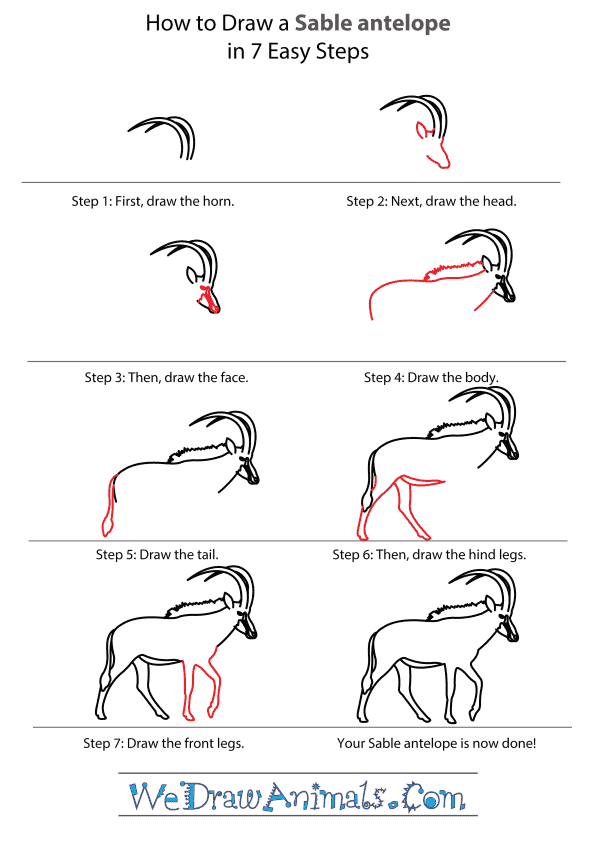 How to Draw a Sable Antelope - Step-by-Step Tutorial