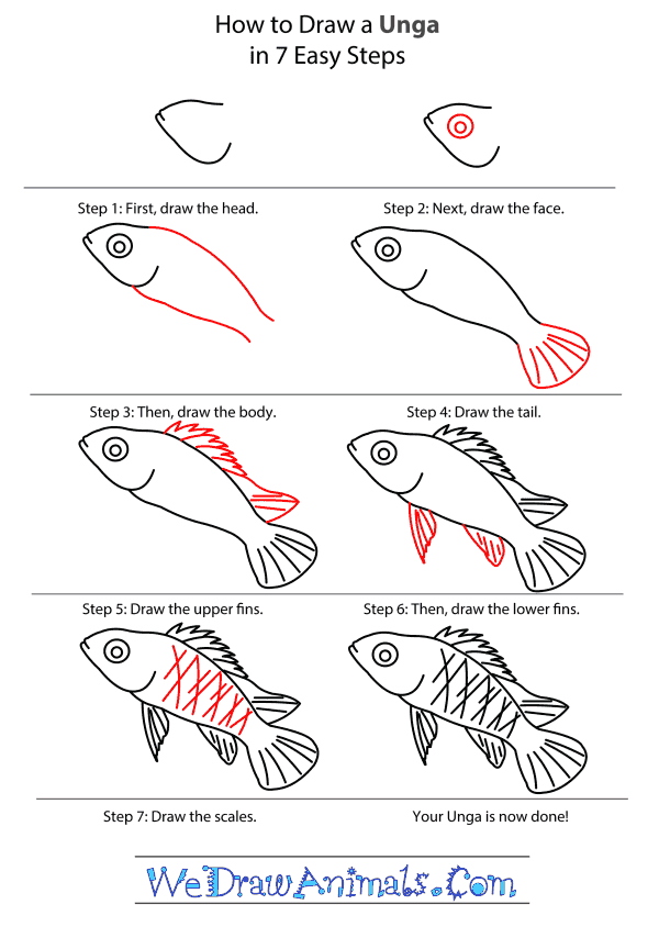 How to Draw an Unga - Step-by-Step Tutorial