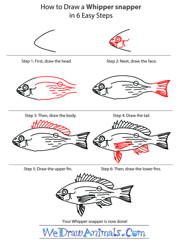 How to Draw a Whipper Snapper - Step-by-Step Tutorial