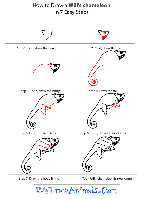 How to Draw a Will's Chameleon - Step-by-Step Tutorial
