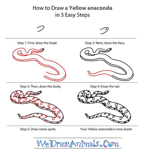 How to Draw a Yellow Anaconda - Step-by-Step Tutorial