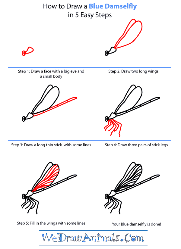 How to Draw a Blue Damselfly - Step-by-Step Tutorial