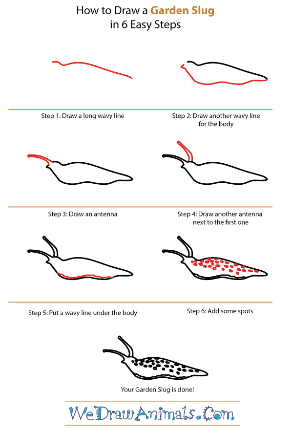How to Draw a Garden Slug - Step-by-Step Tutorial