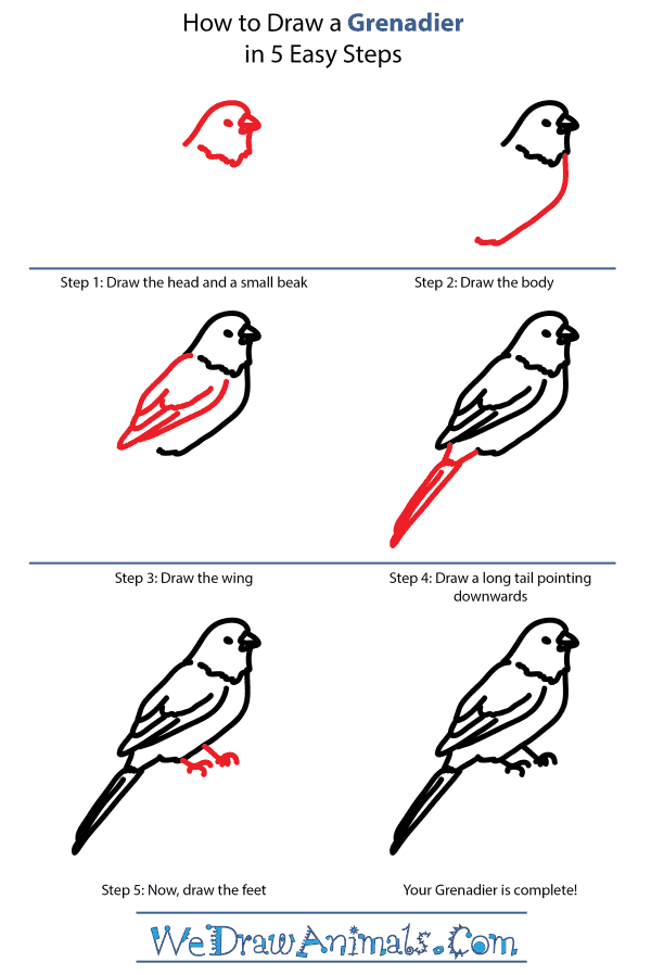 How to Draw a Grenadier - Step-by-Step Tutorial