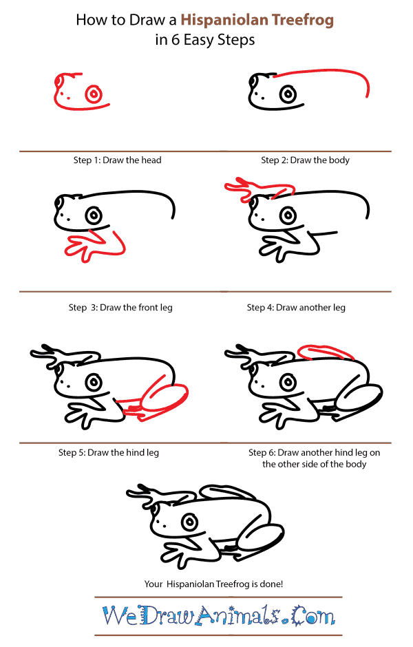 How to Draw a Hispaniolan Treefrog - Step-by-Step Tutorial