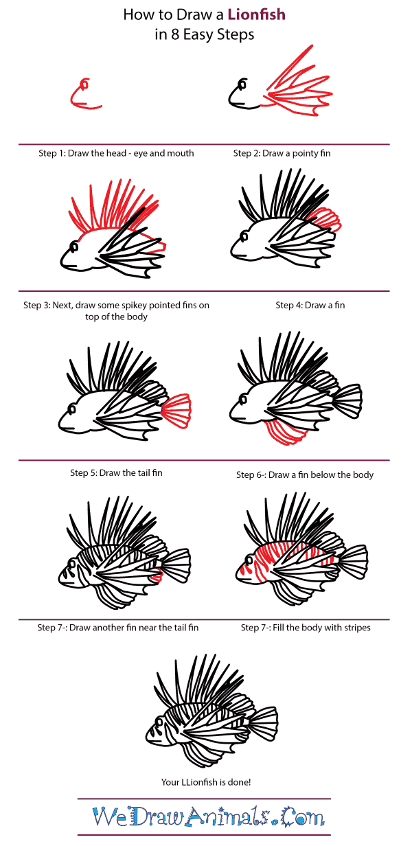 How to Draw a Lionfish - Step-by-Step Tutorial
