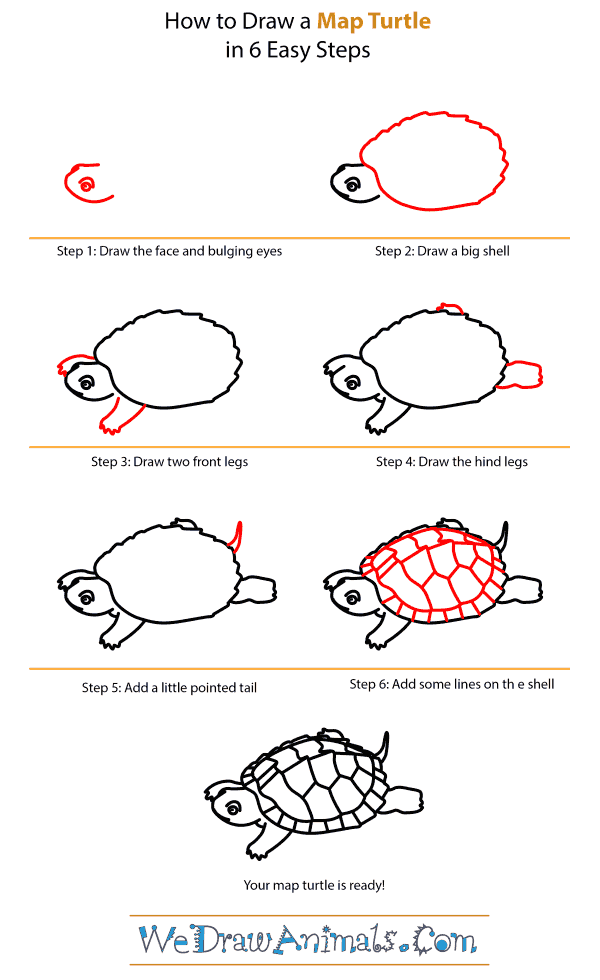 How to Draw a Map Turtle - Step-by-Step Tutorial
