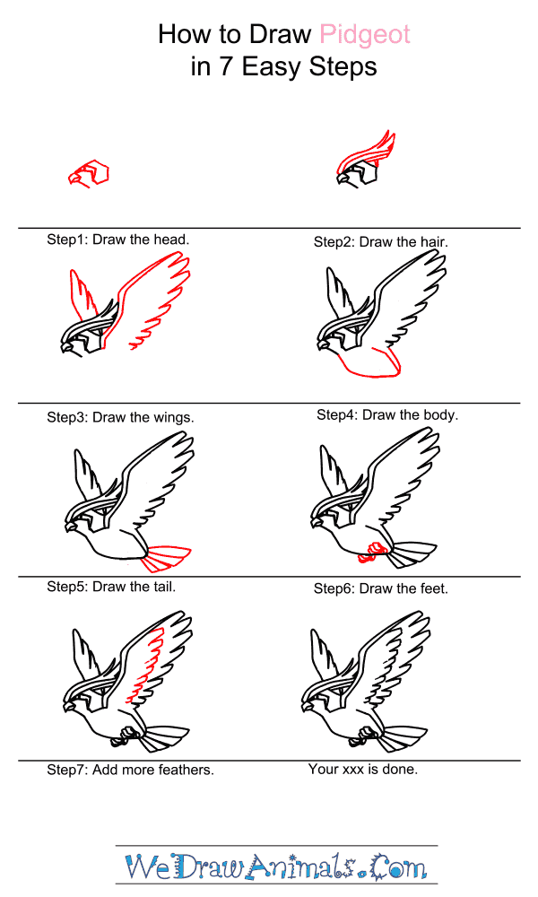 How to Draw Pidgeot - Step-by-Step Tutorial