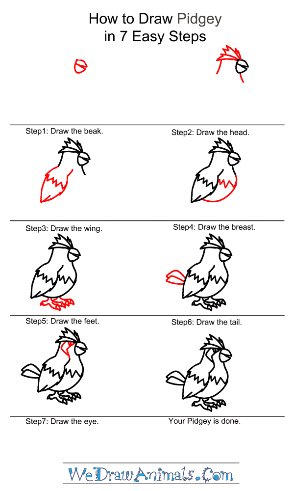 How to Draw Pidgey - Step-by-Step Tutorial