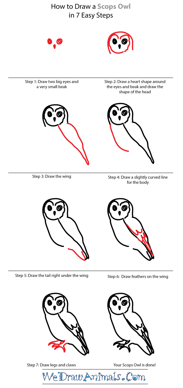 How to Draw a Scops-Owl - Step-by-Step Tutorial