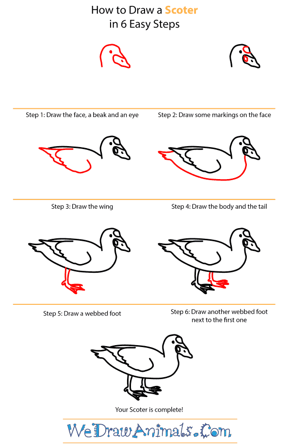 How to Draw a Scoter - Step-by-Step Tutorial