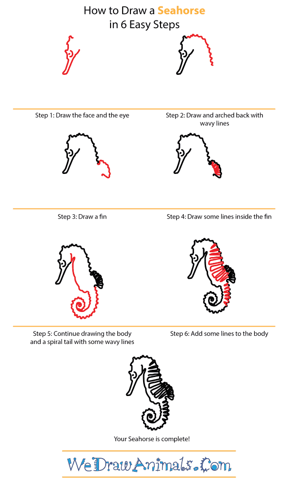 How to Draw a Seahorse - Step-by-Step Tutorial