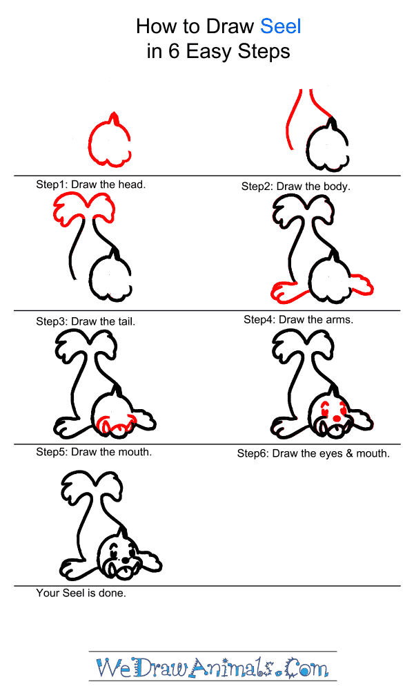 How to Draw Seel - Step-by-Step Tutorial