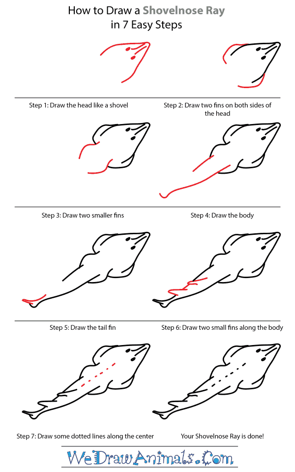 How to Draw a Shovelnose Ray - Step-by-Step Tutorial