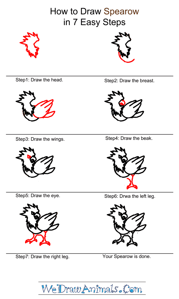 How to Draw Spearow - Step-by-Step Tutorial