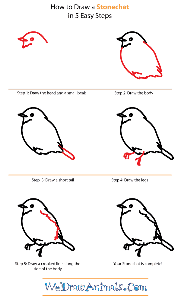 How to Draw a Stonechat - Step-by-Step Tutorial